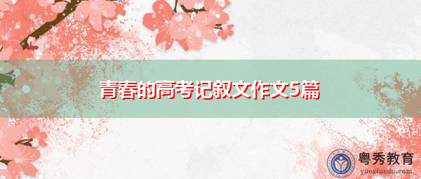 青春的高考记叙文作文5篇