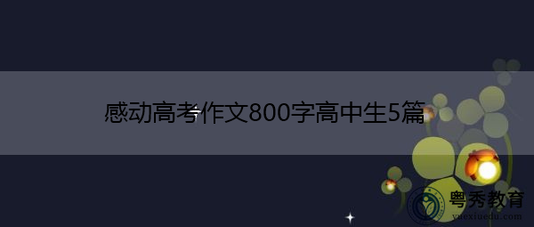 感动高考作文800字高中生5篇