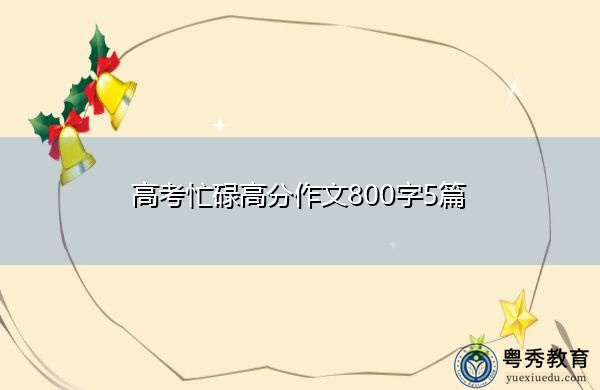 高考忙碌高分作文800字5篇