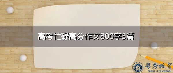 高考忙碌高分作文800字5篇