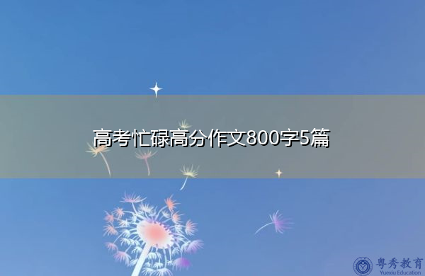 高考忙碌高分作文800字5篇