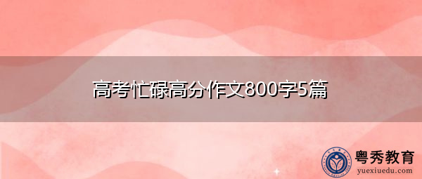 高考忙碌高分作文800字5篇