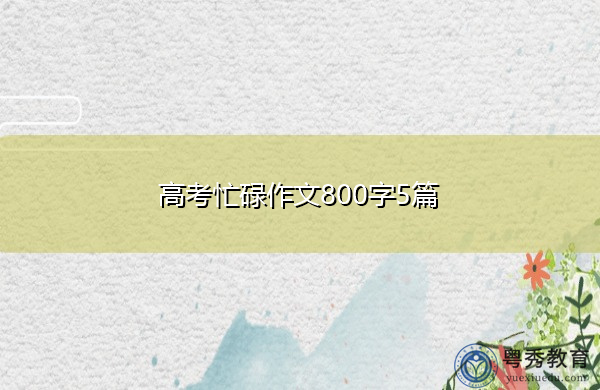 高考忙碌作文800字5篇