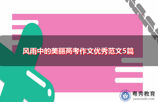 风雨中的美丽高考作文优秀范文5篇