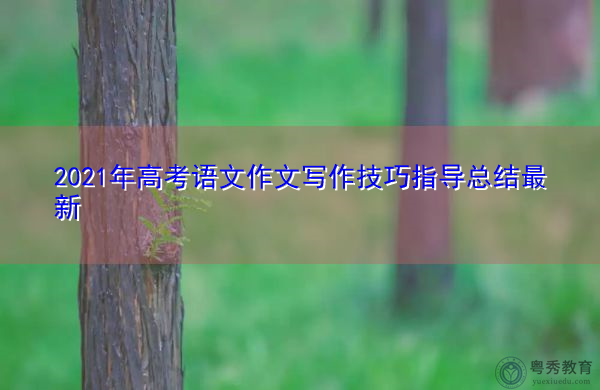 2021年高考语文作文写作技巧指导总结最新