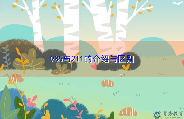985与211的介绍与区别