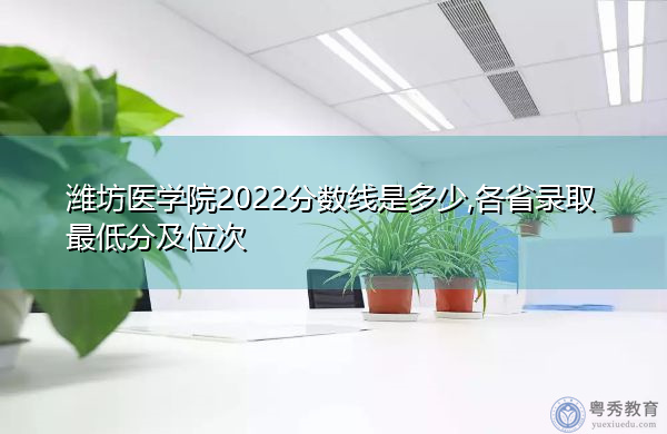 潍坊医学院2022分数线是多少,各省录取最低分及位次