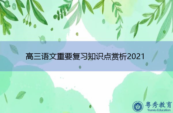 高三语文重要复习知识点赏析2021