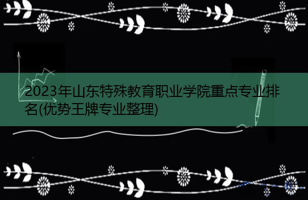 2023年山东特殊教育职业学院重点专业排名(优势王牌专业整理)