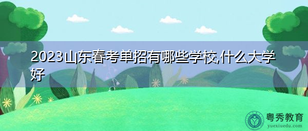 2023山东春考单招有哪些学校,什么大学好 2023山东春考单招有哪些学校,什么大学好