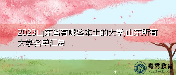2023山东省有哪些本土的大学,山东所有大学名单汇总 2023山东省有哪些本土的大学,山东所有大学名单汇总
