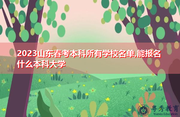 2023山东春考本科所有学校名单,能报名什么本科大学