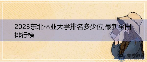 2023东北林业大学排名多少位,最新全国排行榜 2023东北林业大学排名多少位,最新全国排行榜