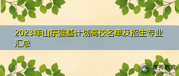 2023年山东强基计划高校名单及招生专业汇总