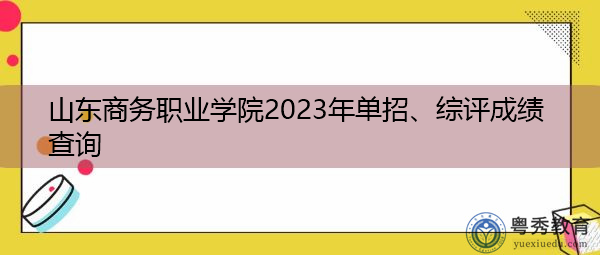 山东商务职业学院2023年单招、综评成绩查询