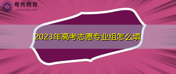 2023年高考志愿专业组怎么填