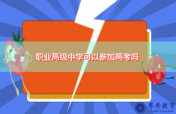 职业高级中学可以参加高考吗