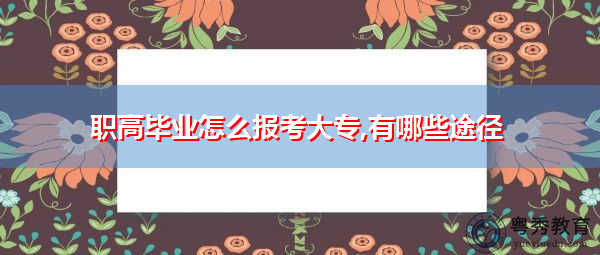 职高毕业怎么报考大专,有哪些途径