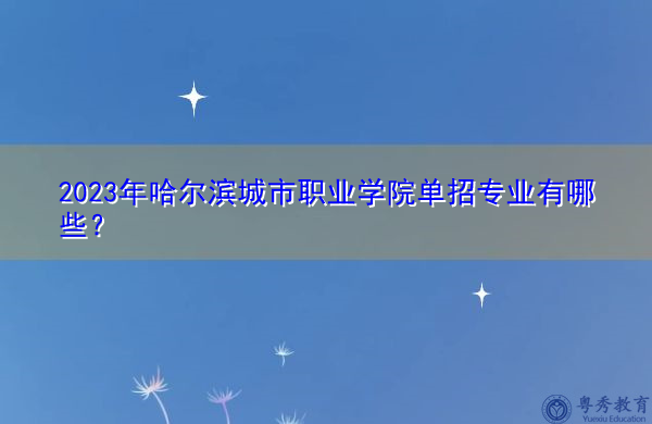 2023年哈尔滨城市职业学院单招专业有哪些？
