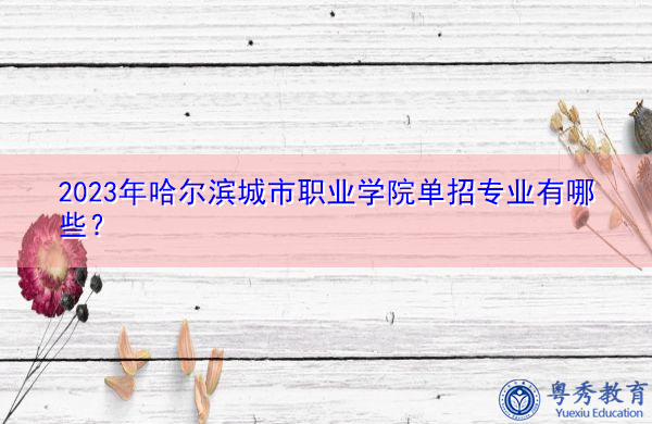 2023年哈尔滨城市职业学院单招专业有哪些？