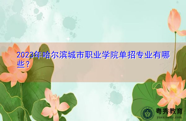 2023年哈尔滨城市职业学院单招专业有哪些？