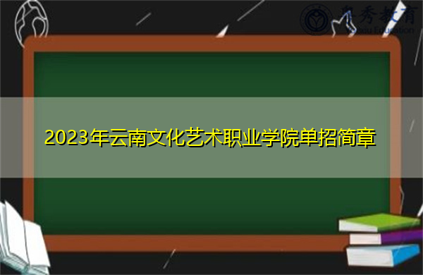 2023年云南文化艺术职业学院单招简章