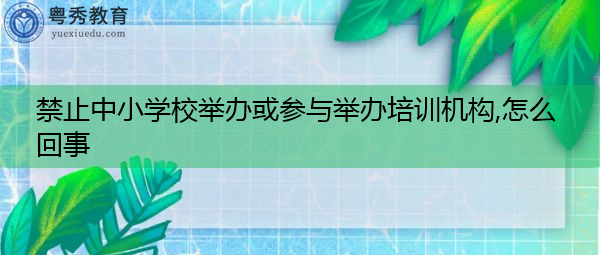 禁止中小学校举办或参与举办培训机构,怎么回事 禁止中小学校举办或参与举办培训机构,怎么回事