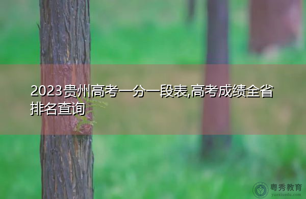 2023贵州高考一分一段表,高考成绩全省排名查询 2023贵州高考一分一段表,高考成绩全省排名查询
