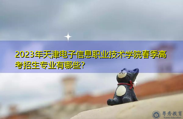 2023年天津电子信息职业技术学院春季高考招生专业有哪些? 2023年天津电子信息职业技术学院春季高考招生专业有哪些?