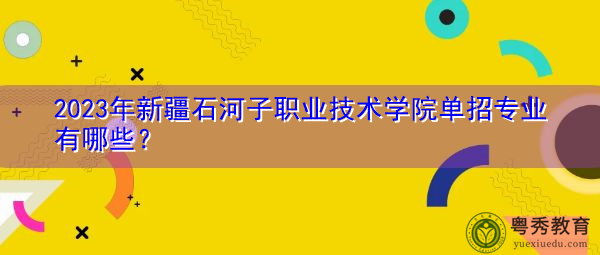 2023年新疆石河子职业技术学院单招专业有哪些？