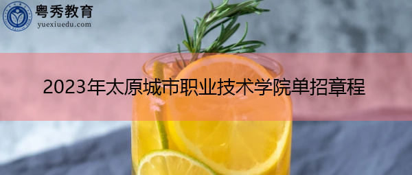 2023年太原城市职业技术学院单招章程 2023年太原城市职业技术学院单招章程