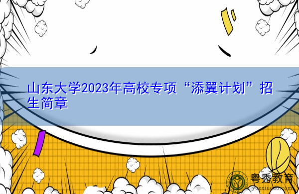山东大学2023年高校专项“添翼计划”招生简章