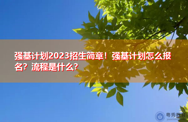 强基计划2023招生简章！强基计划怎么报名？流程是什么？