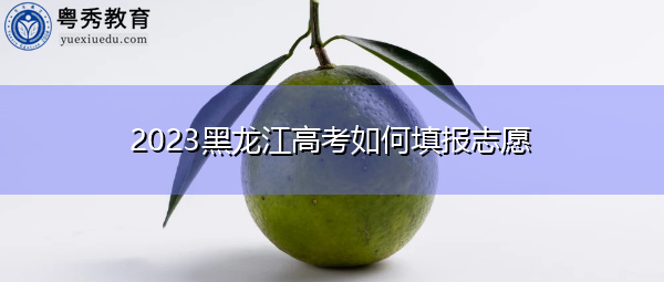 2023黑龙江高考如何填报志愿
