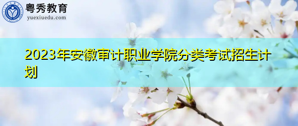 2023年安徽审计职业学院分类考试招生计划