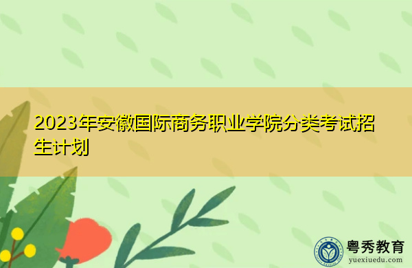 2023年安徽国际商务职业学院分类考试招生计划
