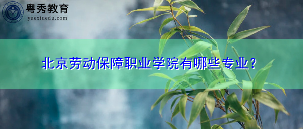 北京劳动保障职业学院有哪些专业? 北京劳动保障职业学院有哪些专业?