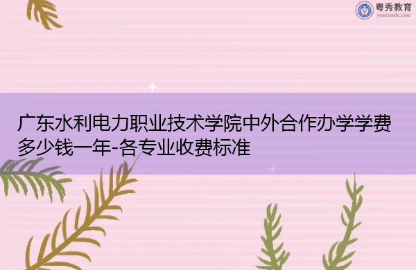 广东水利电力职业技术学院中外合作办学学费多少钱一年-各专业收费标准