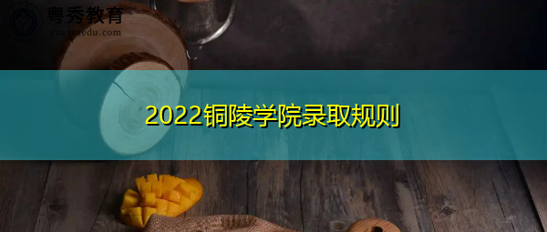 2022铜陵学院录取规则