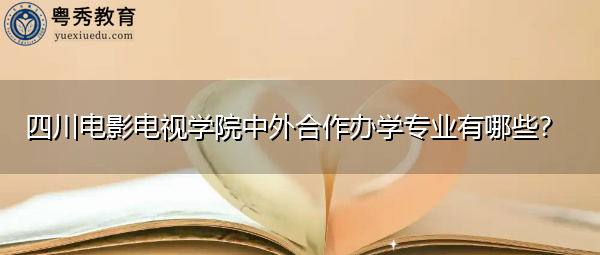 四川电影电视学院中外合作办学专业有哪些? 四川电影电视学院中外合作办学专业有哪些?