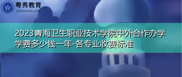 2023青海卫生职业技术学院中外合作办学学费多少钱一年-各专业收费标准 2023青海卫生职业技术学院中外合作办学学费多少钱一年-各专业收费标准