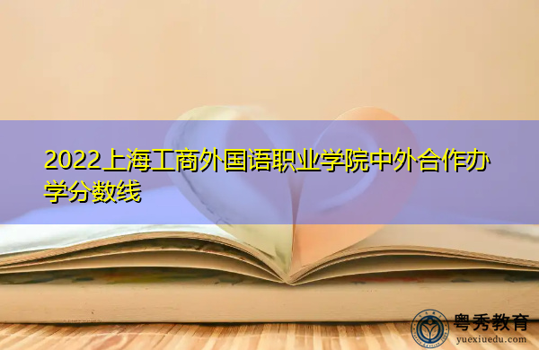2022上海工商外国语职业学院中外合作办学分数线