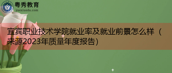 宜宾职业技术学院就业率及就业前景怎么样(来源2023年质量年度报告) 宜宾职业技术学院就业率及就业前景怎么样(来源2023年质量年度报告)