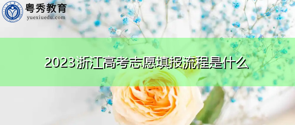 2023浙江高考志愿填报流程是什么 2023浙江高考志愿填报流程是什么