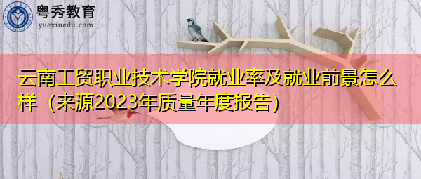 云南工贸职业技术学院就业率及就业前景怎么样(来源2023年质量年度报告) 云南工贸职业技术学院就业率及就业前景怎么样(来源2023年质量年度报告)