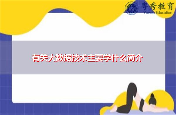 有关大数据技术主要学什么简介 有关大数据技术主要学什么简介