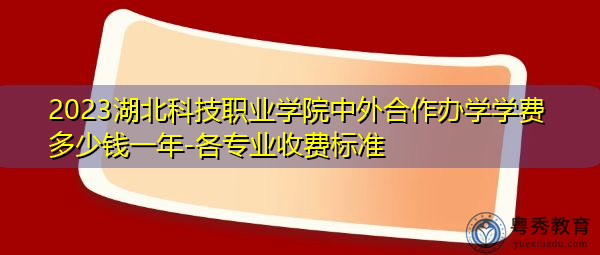 2023湖北科技职业学院中外合作办学学费多少钱一年-各专业收费标准