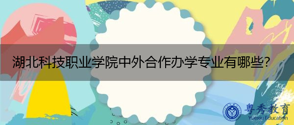 湖北科技职业学院中外合作办学专业有哪些? 湖北科技职业学院中外合作办学专业有哪些?