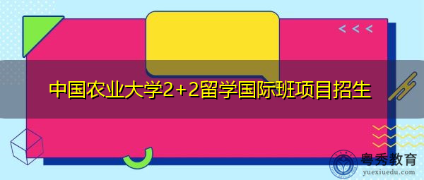 中国农业大学2+2留学国际班项目招生