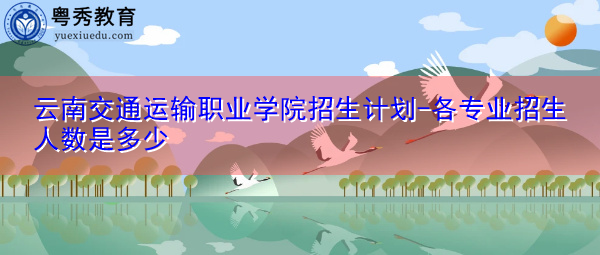 云南交通运输职业学院招生计划-各专业招生人数是多少 云南交通运输职业学院招生计划-各专业招生人数是多少